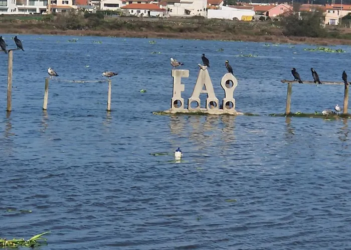 Tukaza * Эшпозенди